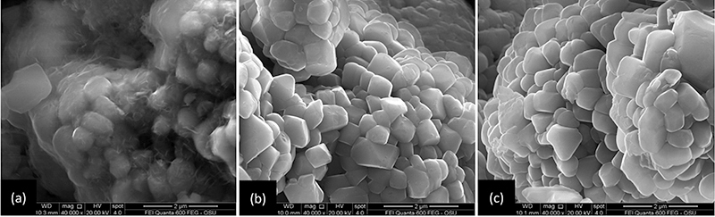 Nanoscale engineering— SEM comparison of harvested, hydrothermally treated, and heat-treated NCM523