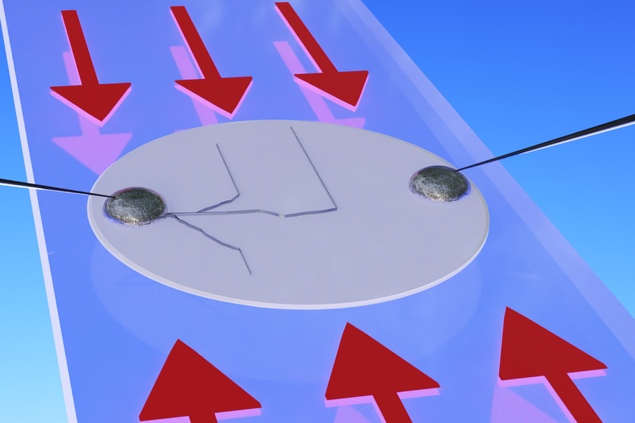 dendrite travel