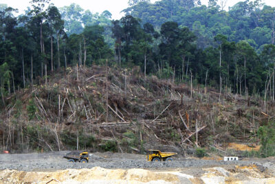 Figure 9 Rainforest destruction. Deforestation_in_Borneo