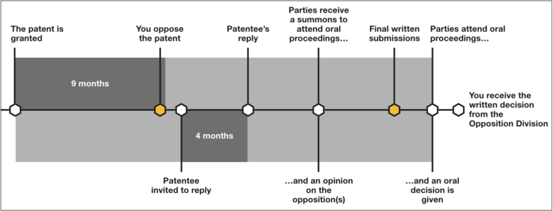 Fig 1: Typical timeline of a European opposition.