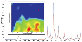 Fig 6: Spatial distribution of Cx2 in a PEO membrane. This figure was generated from data sent by the author.