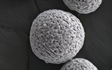 High-nickel cathodes