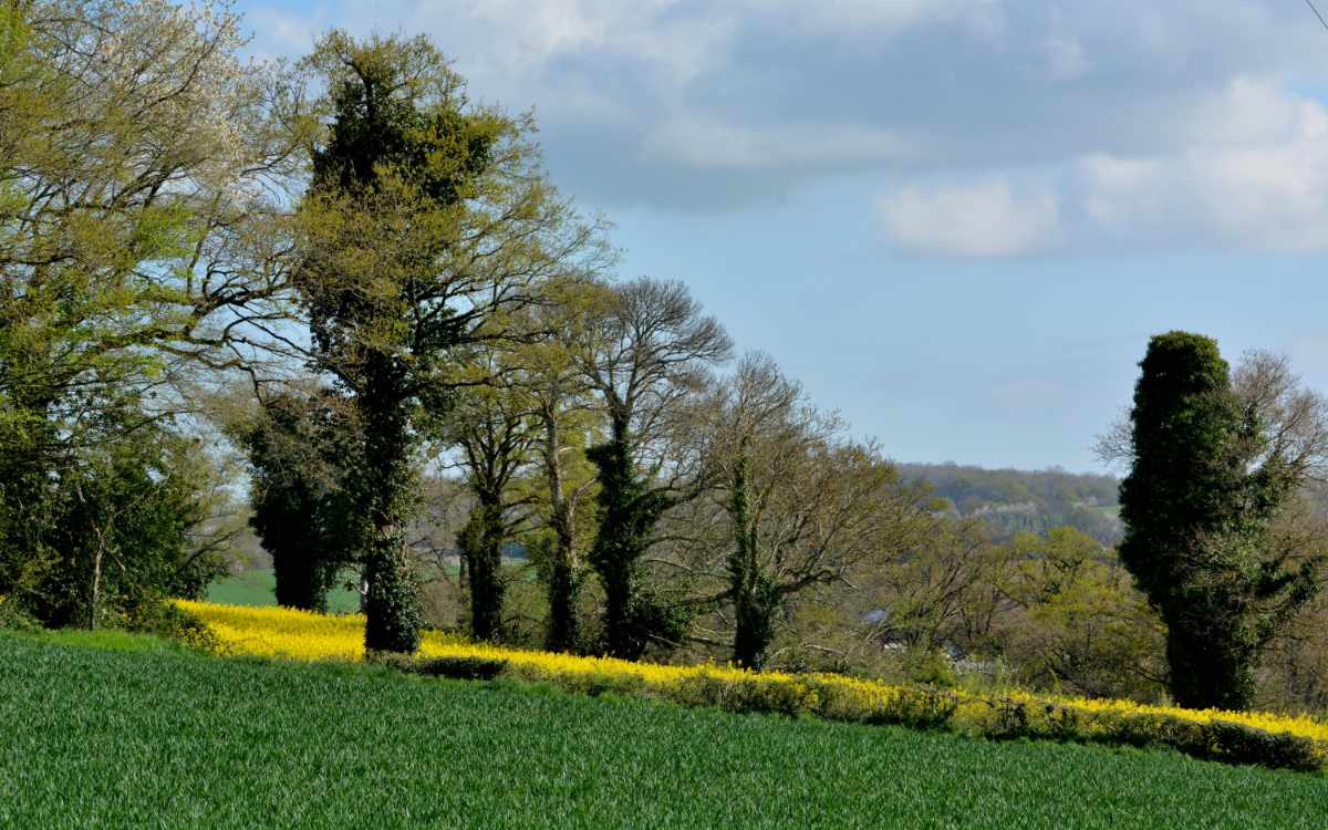 Envision BESS to boost the French grid